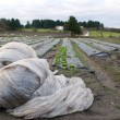 HVALFANGSTMUSEETS SPENNENDE ARRANGEMENTSPROGRAM 2013-14