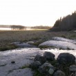 Först i Sverige ? Garnsviken blir limniskt naturreservat