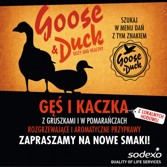 Na świętego Marcina serwowana kaczka i gęsina! Praca, BIZNES - Jak mówi staropolskie przysłowie, ,,na świętego Marcina najlepsza gęsina”. Nie trzeba o tym przekonywać mieszkańców Francji, Austrii, Niemiec czy szwedzkiej Skanii, gdzie 11 listopada na stołach króluje pieczona gęś.