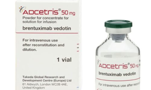Seattle Genetics and Takeda Complete Enrollment of Phase 3 ECHELON-2 Clinical Trial Evaluating ADCETRIS® (Brentuximab Vedotin) in Frontline Mature T-cell Lymphoma