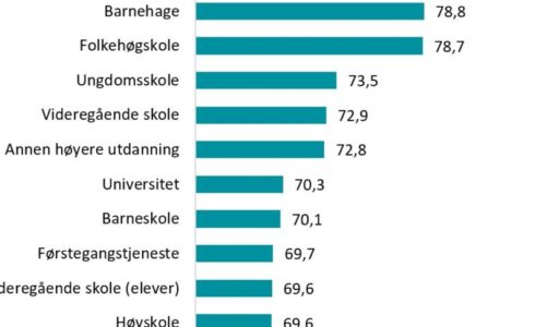 Barnehager og folkehøgskoler er best, barneskolen faller tilbake