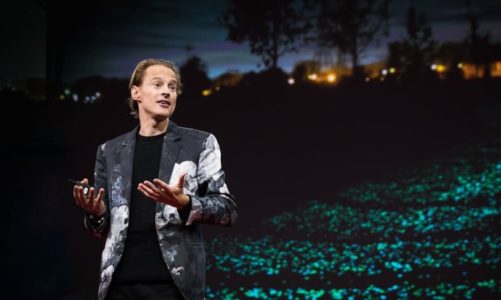 Fenomenet Daan Roosegaarde til Lysets dag!